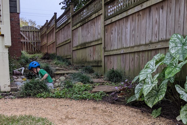 After: a stepstone path leads up to a gate on the south side of the home, framed with shade-loving plants such as ajuga, dwarf lilyturf, purple shamrocks, red-veined sorrel, and ferns for a woodsy feel. Large river rocks cover a drain hole.